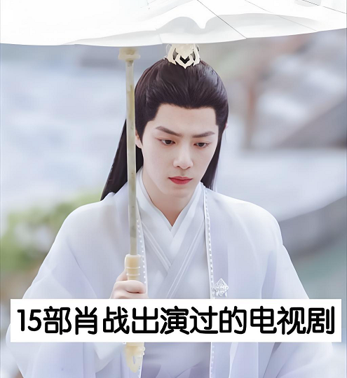 肖战演过的电视剧全部